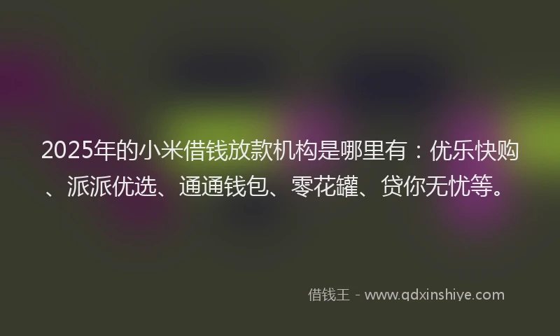 2025年的小米借钱放款机构是哪里有：优乐快购、派派优选、通通钱包、零花罐、贷你无忧等。