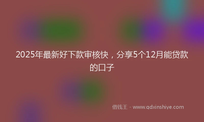 2025年最新好下款审核快，分享5个12月能贷款的口子