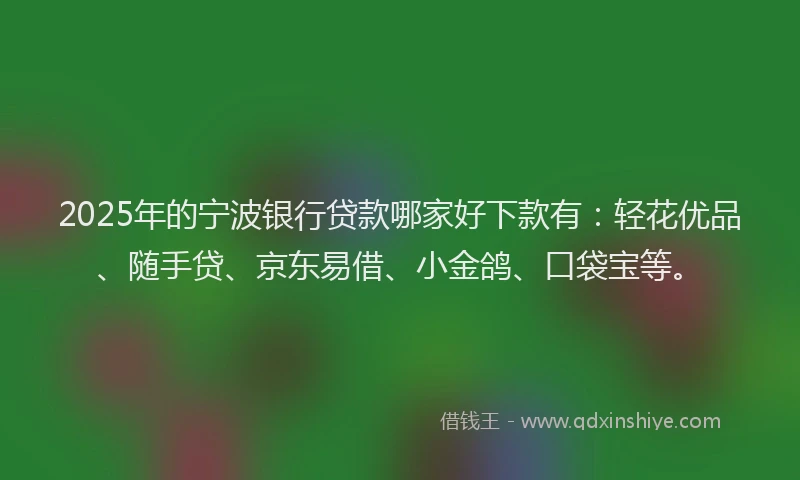 2025年的宁波银行贷款哪家好下款有：轻花优品、随手贷、京东易借、小金鸽、口袋宝等。