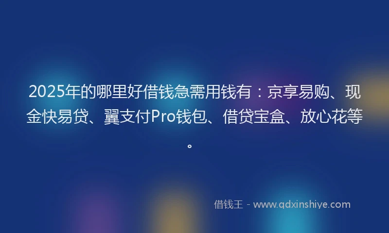 2025年的哪里好借钱急需用钱有：京享易购、现金快易贷、翼支付Pro钱包、借贷宝盒、放心花等。