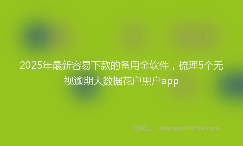 2025年最新容易下款的备用金软件，梳理5个无视逾期大数据花户黑户app