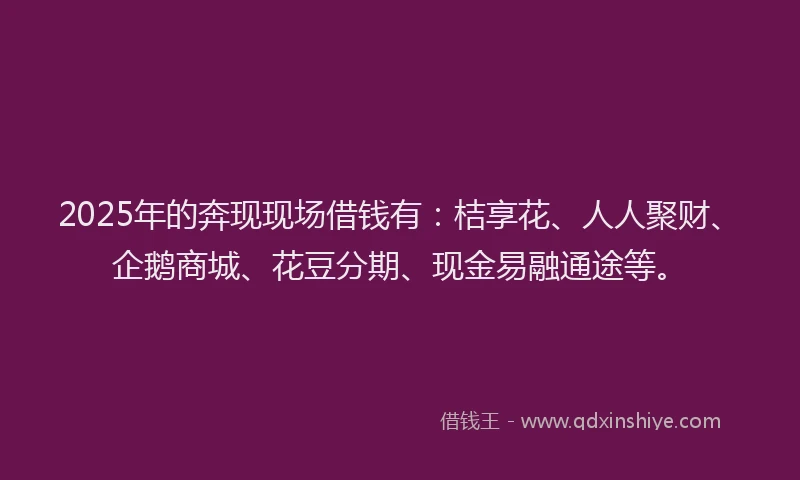 2025年的奔现现场借钱有：桔享花、人人聚财、企鹅商城、花豆分期、现金易融通途等。