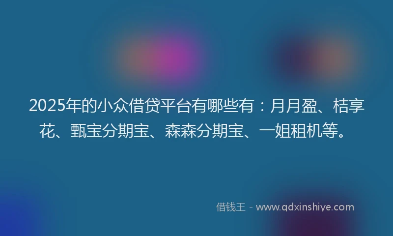 2025年的小众借贷平台有哪些有：月月盈、桔享花、甄宝分期宝、森森分期宝、一姐租机等。