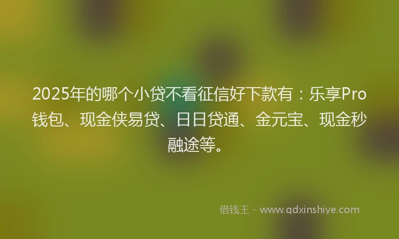 2025年的哪个小贷不看征信好下款有：乐享Pro钱包、现金侠易贷、日日贷通、金元宝、现金秒融途等。