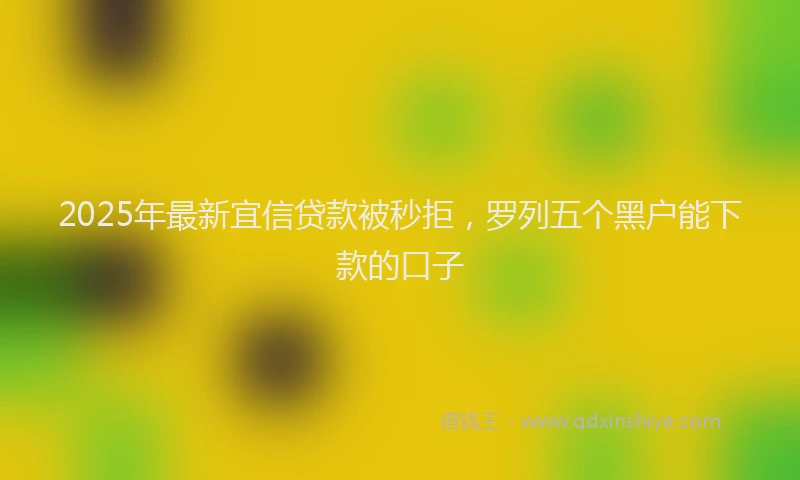 2025年最新宜信贷款被秒拒，罗列五个黑户能下款的口子