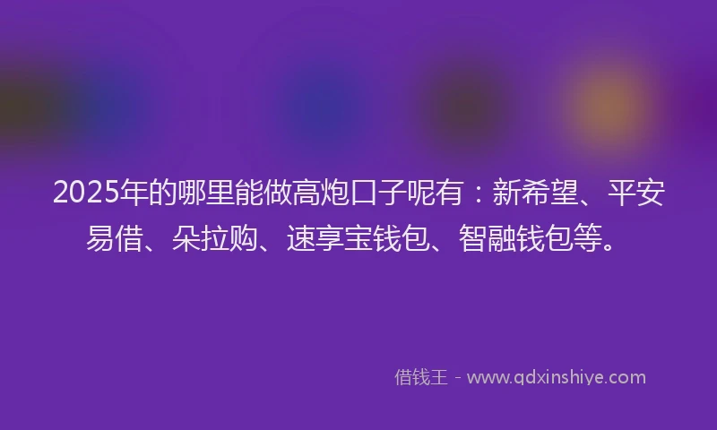 2025年的哪里能做高炮口子呢有：新希望、平安易借、朵拉购、速享宝钱包、智融钱包等。