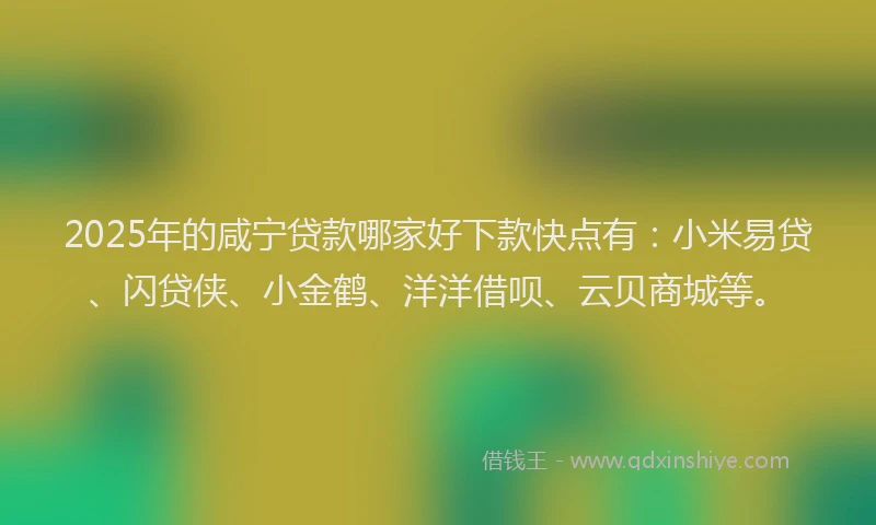 2025年的咸宁贷款哪家好下款快点有：小米易贷、闪贷侠、小金鹤、洋洋借呗、云贝商城等。