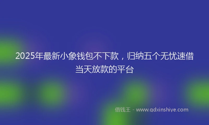 2025年最新小象钱包不下款，归纳五个无忧速借当天放款的平台