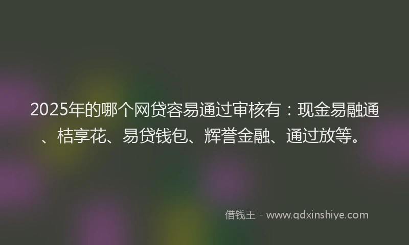 2025年的哪个网贷容易通过审核有：现金易融通、桔享花、易贷钱包、辉誉金融、通过放等。