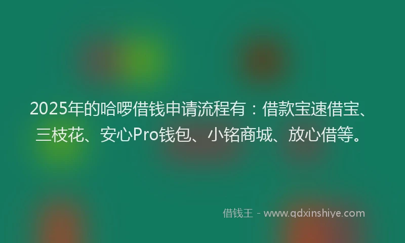 2025年的哈啰借钱申请流程有：借款宝速借宝、三枝花、安心Pro钱包、小铭商城、放心借等。
