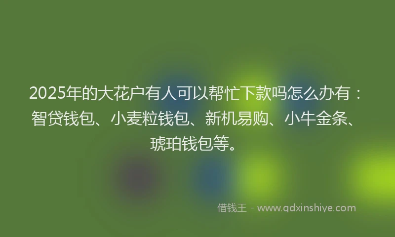 2025年的大花户有人可以帮忙下款吗怎么办有：智贷钱包、小麦粒钱包、新机易购、小牛金条、琥珀钱包等。
