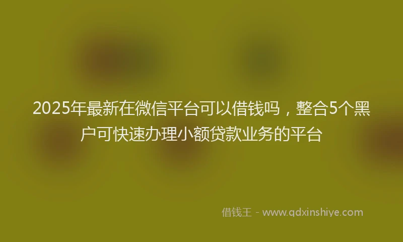 2025年最新在微信平台可以借钱吗，整合5个黑户可快速办理小额贷款业务的平台