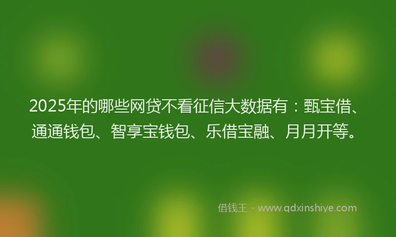 2025年的哪些网贷不看征信大数据有：甄宝借、通通钱包、智享宝钱包、乐借宝融、月月开等。
