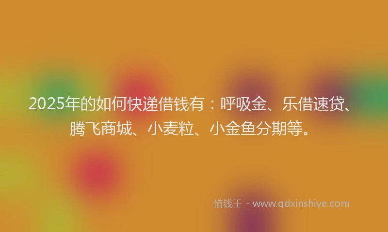 2025年的如何快递借钱有：呼吸金、乐借速贷、腾飞商城、小麦粒、小金鱼分期等。
