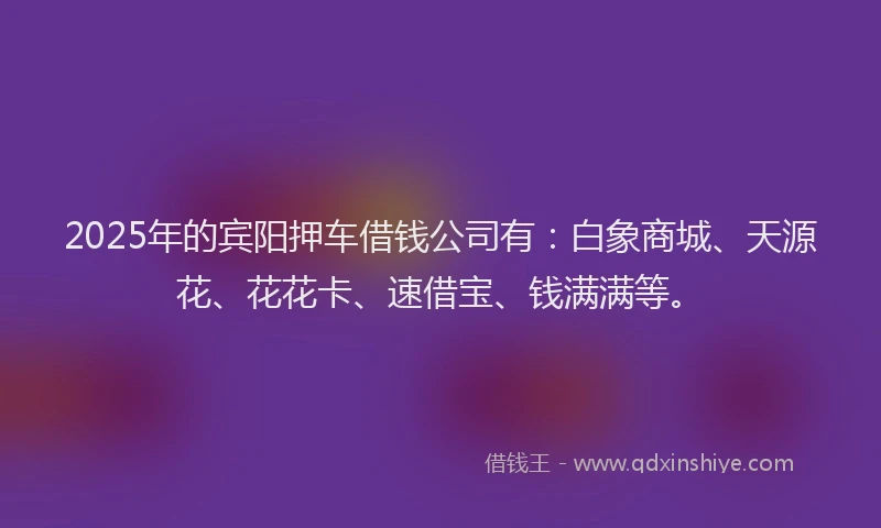2025年的宾阳押车借钱公司有：白象商城、天源花、花花卡、速借宝、钱满满等。