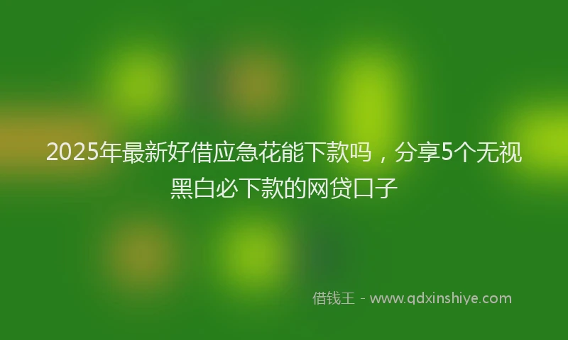 2025年最新好借应急花能下款吗，分享5个无视黑白必下款的网贷口子