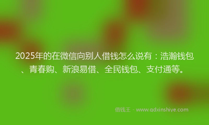 2025年的在微信向别人借钱怎么说有：浩瀚钱包、青春购、新浪易借、全民钱包、支付通等。