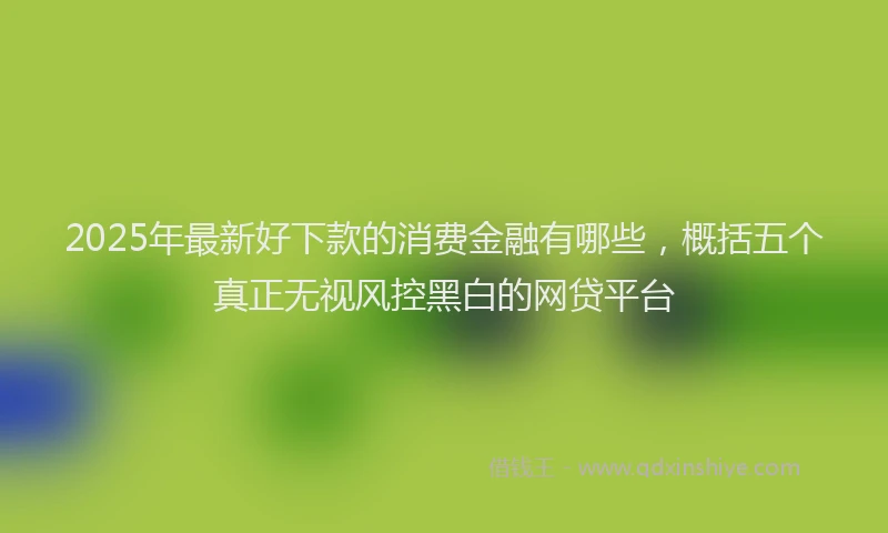 2025年最新好下款的消费金融有哪些，概括五个真正无视风控黑白的网贷平台