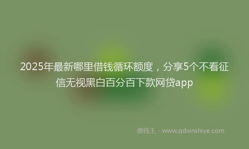 2025年最新哪里借钱循环额度，分享5个不看征信无视黑白百分百下款网贷app