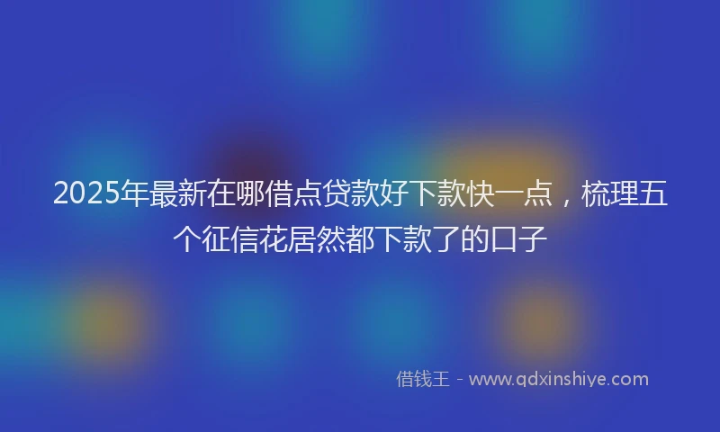 2025年最新在哪借点贷款好下款快一点，梳理五个征信花居然都下款了的口子