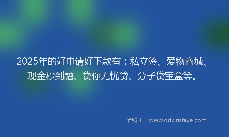 2025年的好申请好下款有：私立签、爱物商城、现金秒到融、贷你无忧贷、分子贷宝盒等。