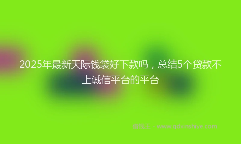 2025年最新天际钱袋好下款吗，总结5个贷款不上诚信平台的平台