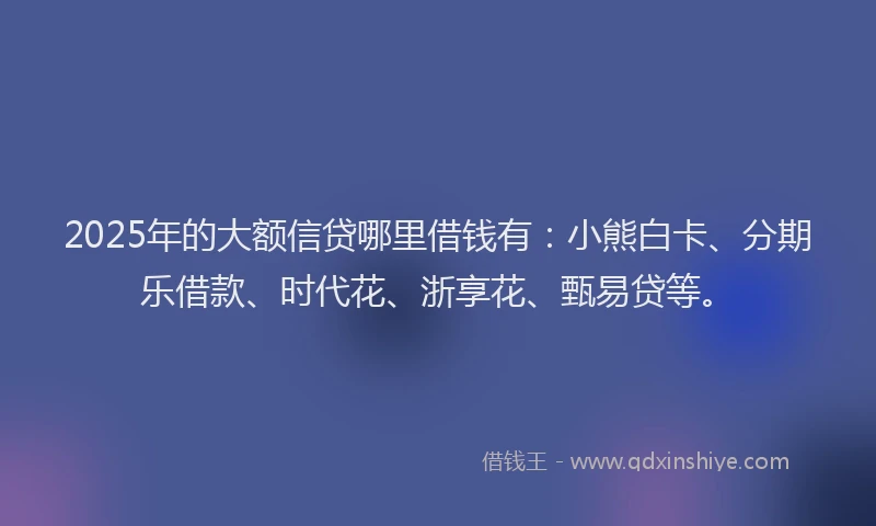 2025年的大额信贷哪里借钱有：小熊白卡、分期乐借款、时代花、浙享花、甄易贷等。