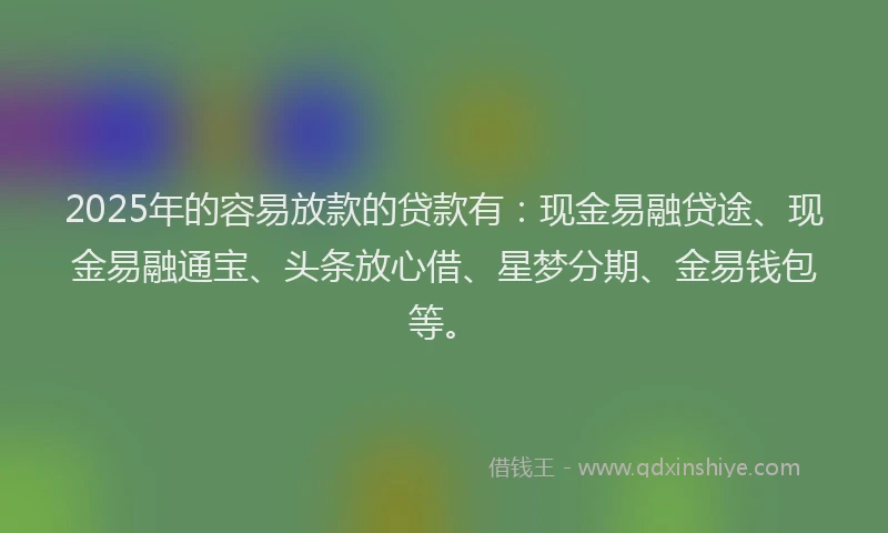 2025年的容易放款的贷款有：现金易融贷途、现金易融通宝、头条放心借、星梦分期、金易钱包等。