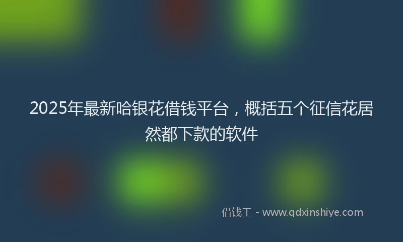 2025年最新哈银花借钱平台，概括五个征信花居然都下款的软件