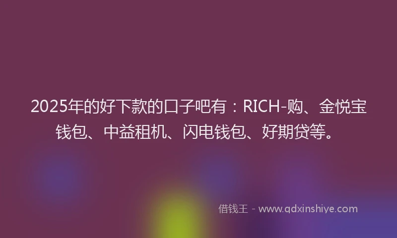 2025年的好下款的口子吧有：RICH-购、金悦宝钱包、中益租机、闪电钱包、好期贷等。