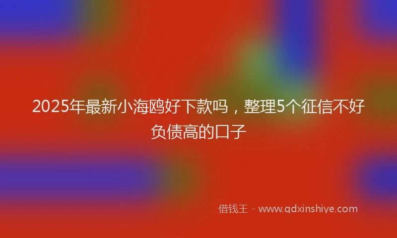 2025年最新小海鸥好下款吗，整理5个征信不好负债高的口子