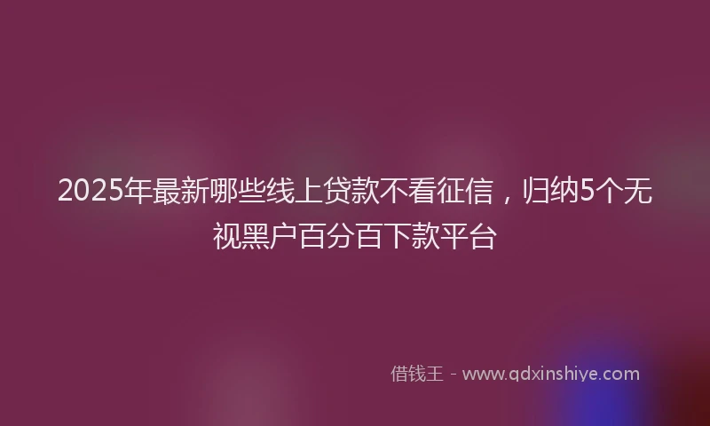 2025年最新哪些线上贷款不看征信，归纳5个无视黑户百分百下款平台