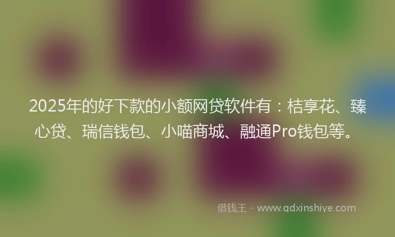 2025年的好下款的小额网贷软件有：桔享花、臻心贷、瑞信钱包、小喵商城、融通Pro钱包等。