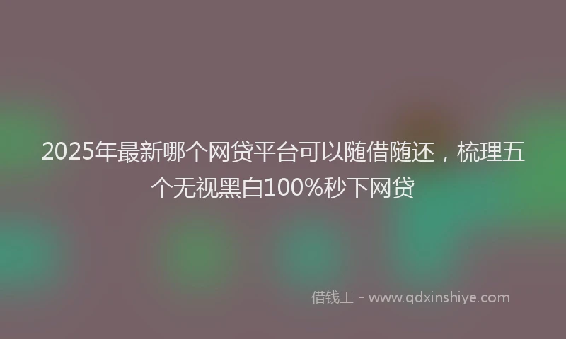 2025年最新哪个网贷平台可以随借随还，梳理五个无视黑白100%秒下网贷