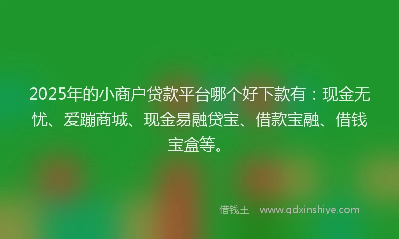 2025年的小商户贷款平台哪个好下款有：现金无忧、爱蹦商城、现金易融贷宝、借款宝融、借钱宝盒等。