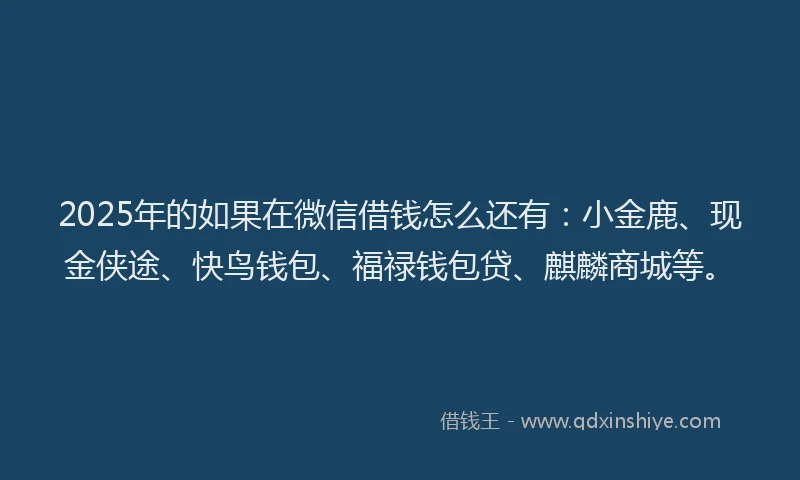 2025年的如果在微信借钱怎么还有：小金鹿、现金侠途、快鸟钱包、福禄钱包贷、麒麟商城等。