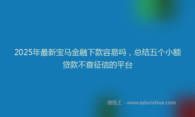 2025年最新宝马金融下款容易吗，总结五个小额贷款不查征信的平台