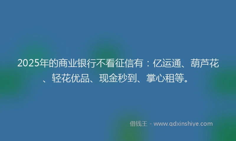 2025年的商业银行不看征信有：亿运通、葫芦花、轻花优品、现金秒到、掌心租等。
