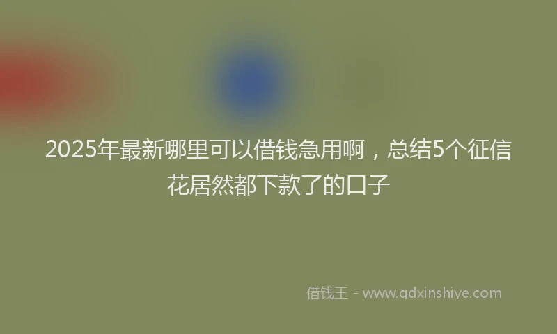2025年最新哪里可以借钱急用啊，总结5个征信花居然都下款了的口子