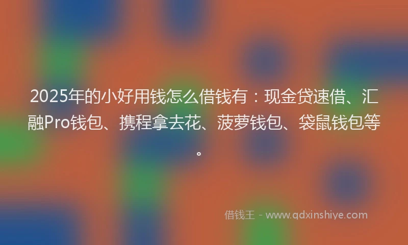 2025年的小好用钱怎么借钱有：现金贷速借、汇融Pro钱包、携程拿去花、菠萝钱包、袋鼠钱包等。