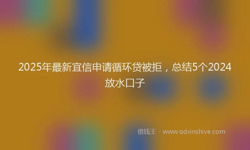 2025年最新宜信申请循环贷被拒，总结5个2024放水口子