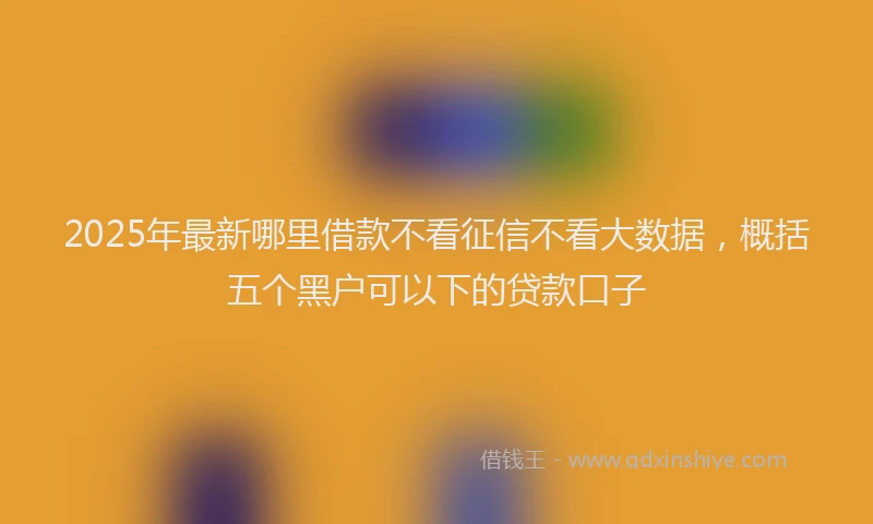 2025年最新哪里借款不看征信不看大数据，概括五个黑户可以下的贷款口子