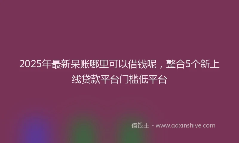 2025年最新呆账哪里可以借钱呢，整合5个新上线贷款平台门槛低平台
