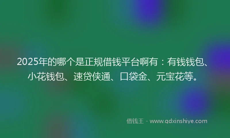 2025年的哪个是正规借钱平台啊有：有钱钱包、小花钱包、速贷侠通、口袋金、元宝花等。
