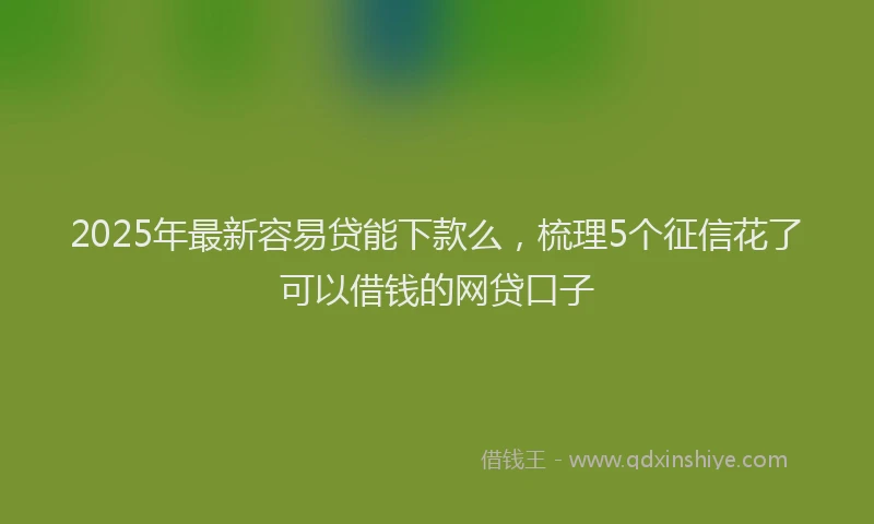 2025年最新容易贷能下款么，梳理5个征信花了可以借钱的网贷口子