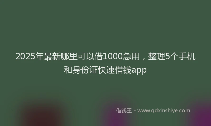 2025年最新哪里可以借1000急用，整理5个手机和身份证快速借钱app