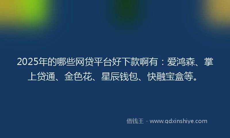 2025年的哪些网贷平台好下款啊有：爱鸿森、掌上贷通、金色花、星辰钱包、快融宝盒等。