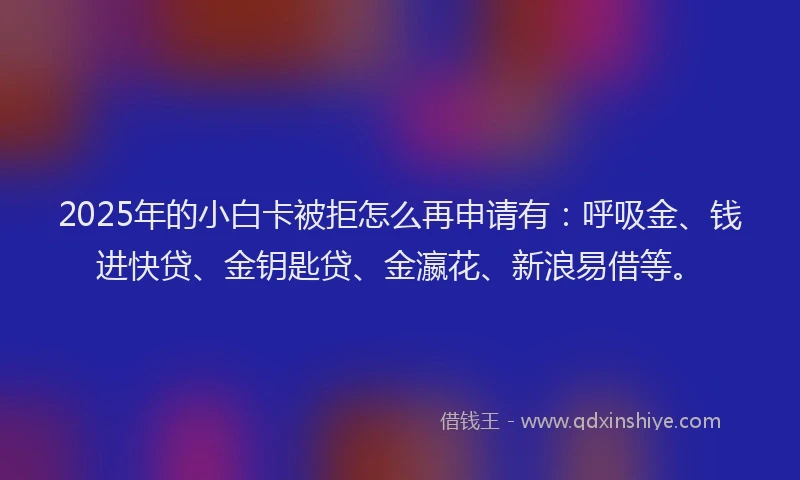 2025年的小白卡被拒怎么再申请有：呼吸金、钱进快贷、金钥匙贷、金瀛花、新浪易借等。
