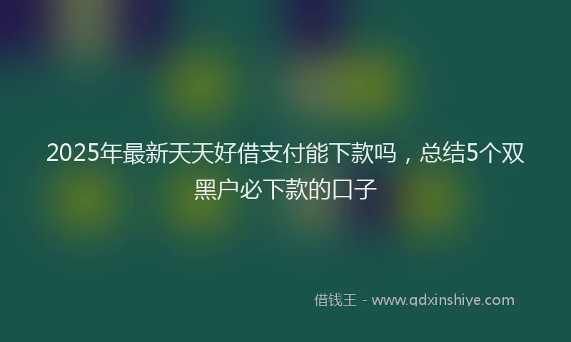2025年最新天天好借支付能下款吗，总结5个双黑户必下款的口子