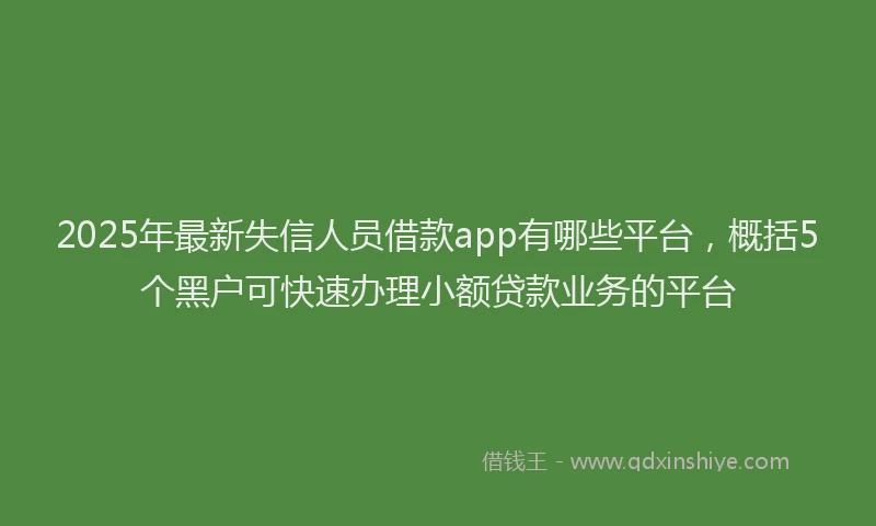 2025年最新失信人员借款app有哪些平台，概括5个黑户可快速办理小额贷款业务的平台